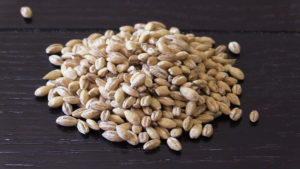 Pearled Barley Kernels