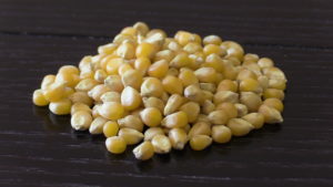 Popcorn Kernels