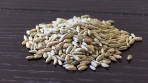 Rye Kernels