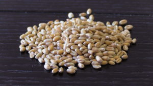 Wheat Kernels