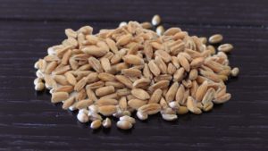 Spelt Kernels